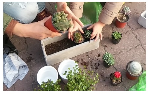 아이가 식물 기르면 공격성 완화