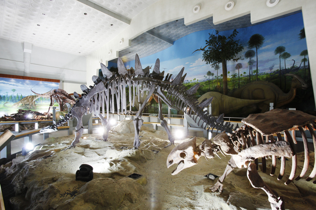 왕궁면 화석박물관!!