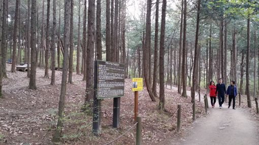 익산 배산 산책·운동 명소로 각광