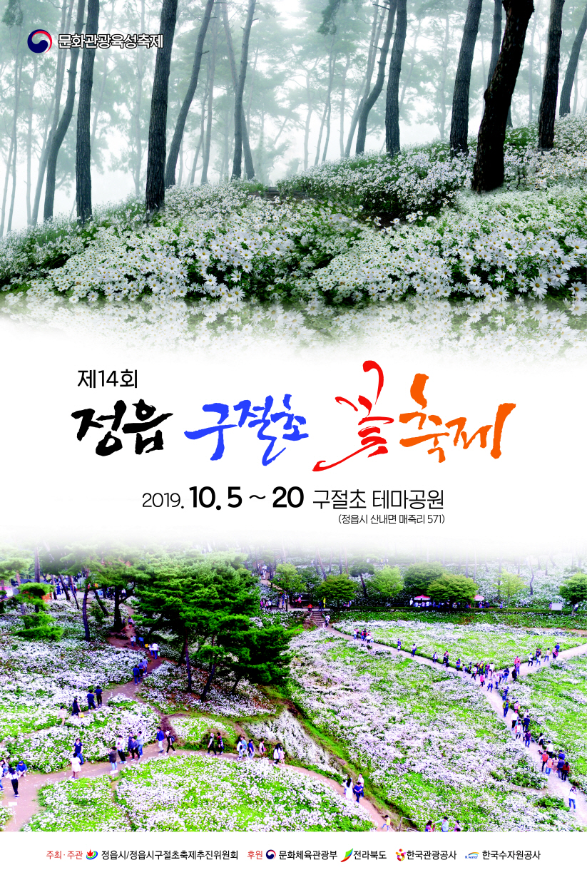 정읍 구절초 축제