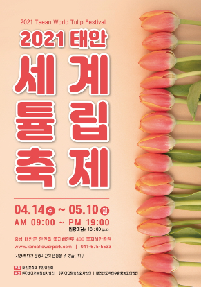 2021 태안 세계튤립 꽃 박람회