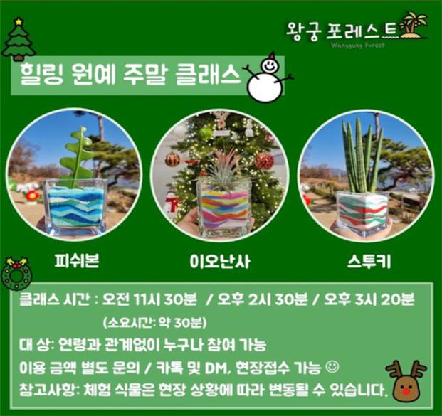 왕궁포레스트 힐링원예 주말 클래스 안내